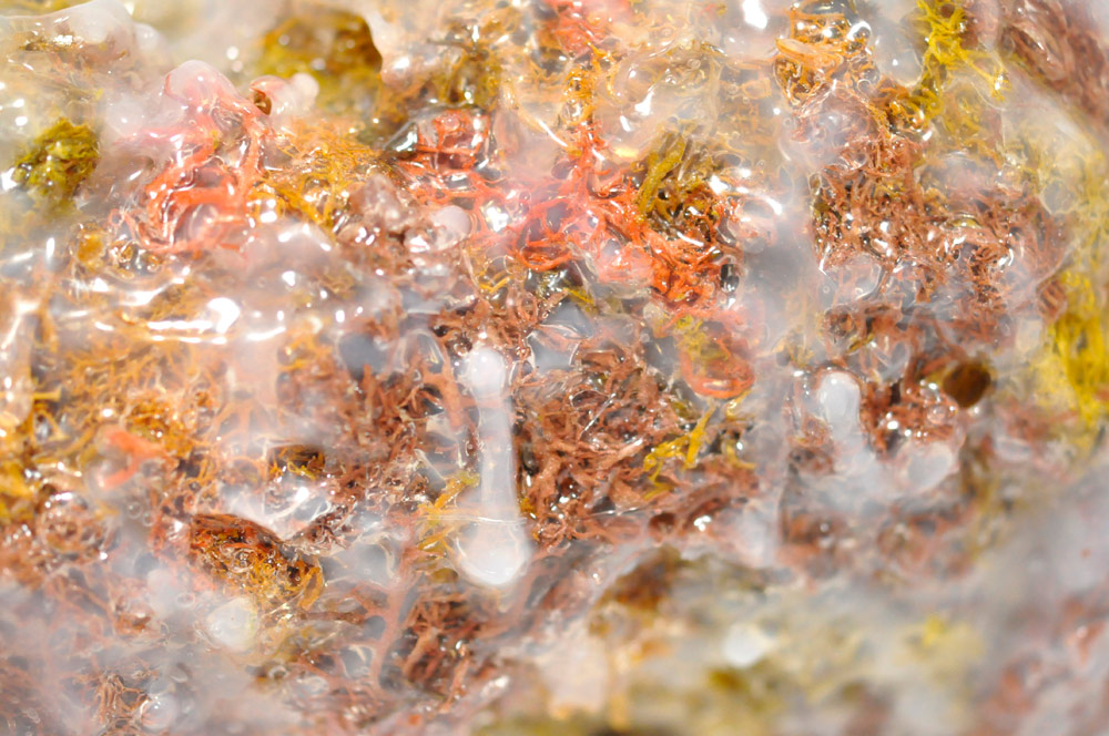Untitled, 2012, Lichen, Glue,and Acrylic on Clay, 4.7 x 13.8 x 4.9 in. / 12 x 35 x 12.5 cm [#SS12SC008]