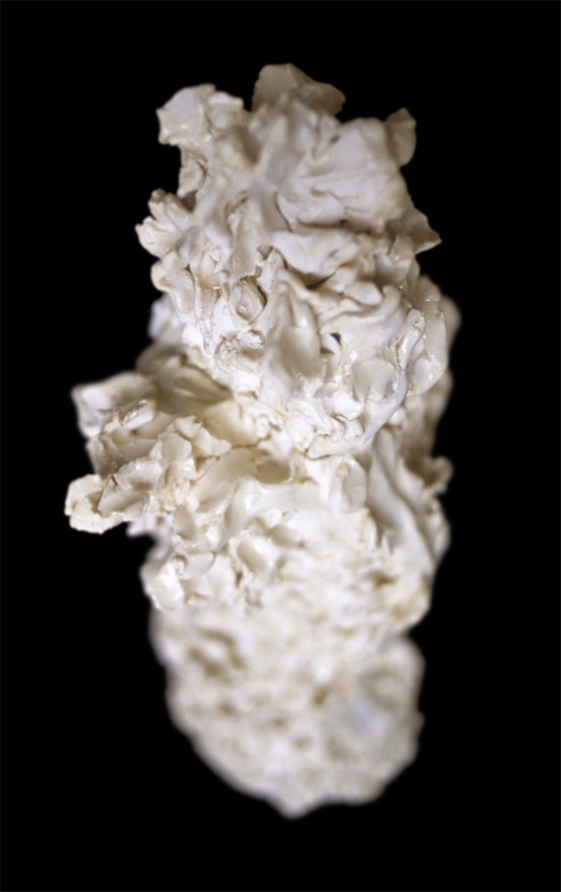 Torso, 2006, Ceramic, H.20 in.  /  50.8 cm [#SS06SC008]